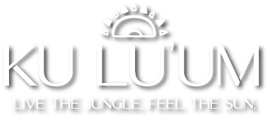Logo Header
